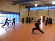 KungFu_TL2011_Training